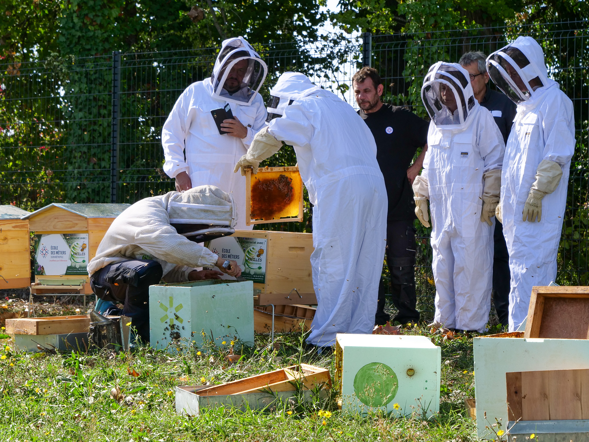 Biodiversité L EDM fait le Bzzz École des Métiers Dijon métropole